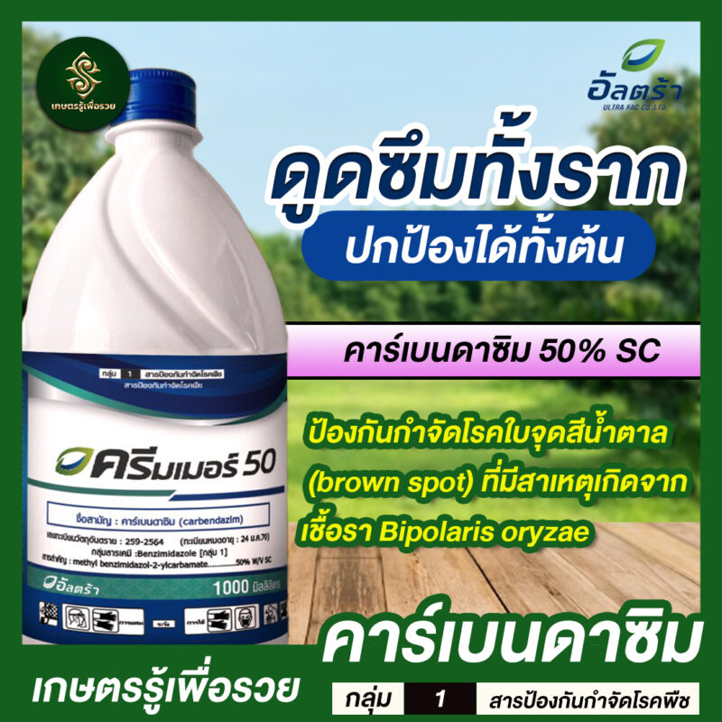 ครีมเมอร์ 50