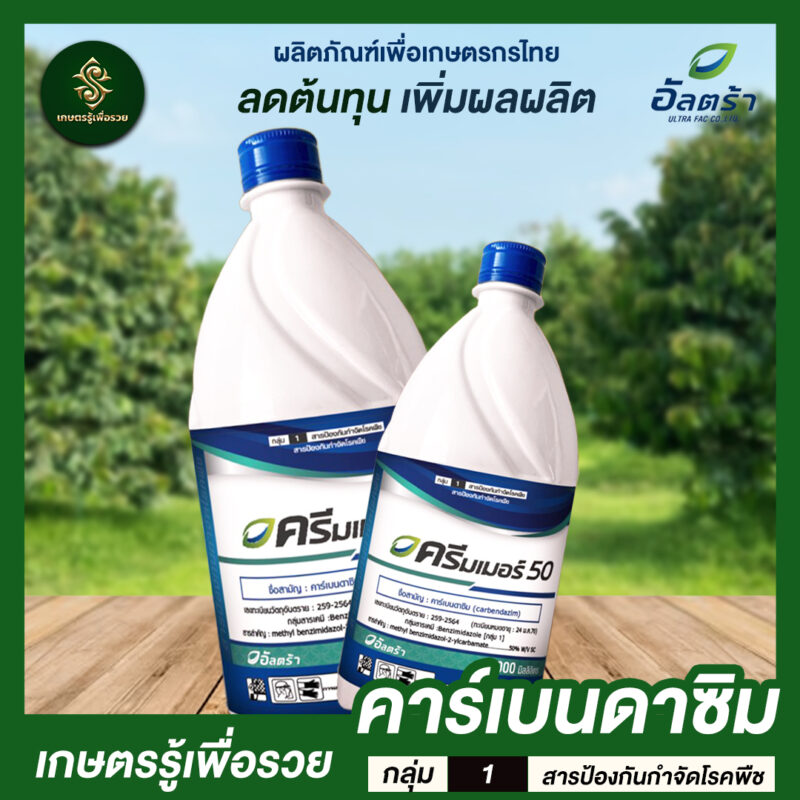 ครีมเมอร์ 50 - Image 2