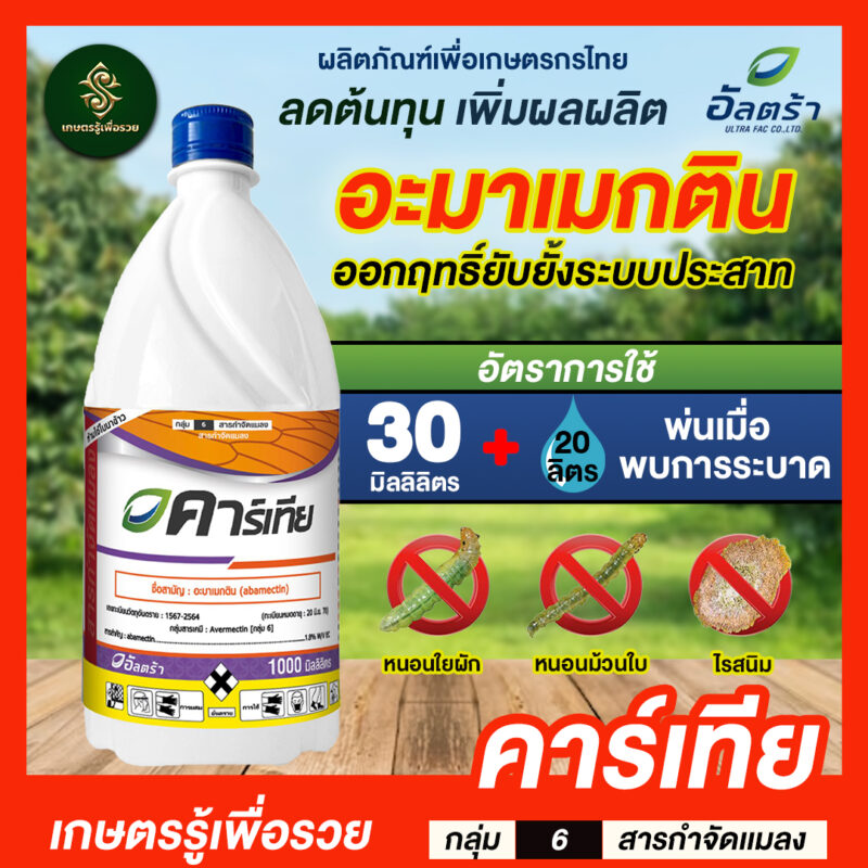 คาร์เทีย