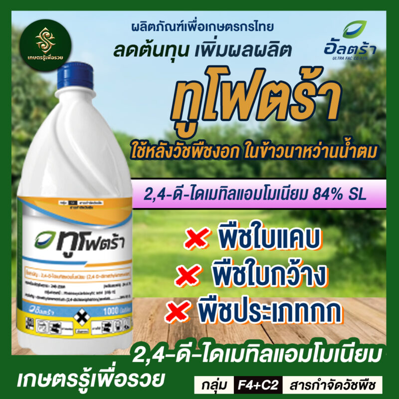 ทูโฟตร้า
