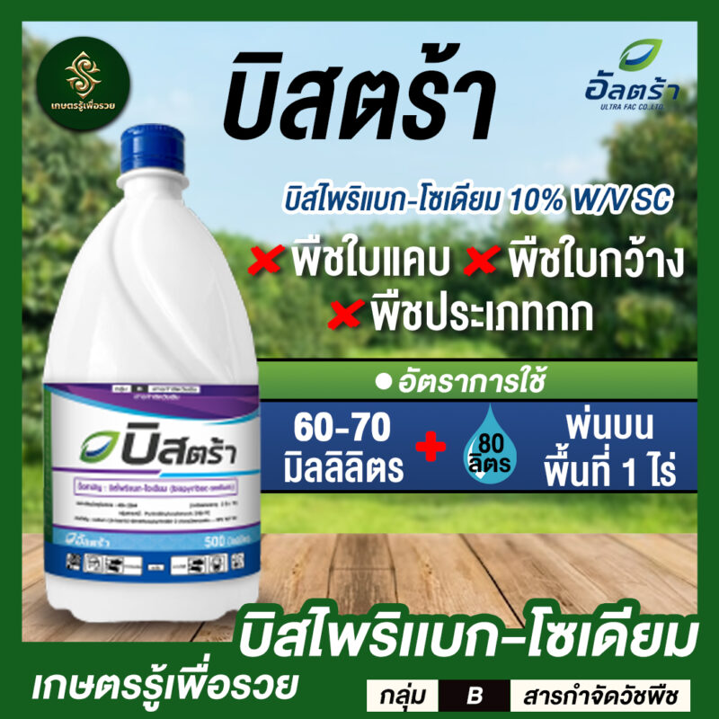 บิสตร้า