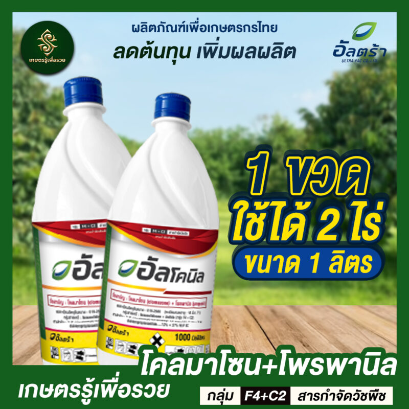อัลโคนิล - Image 2