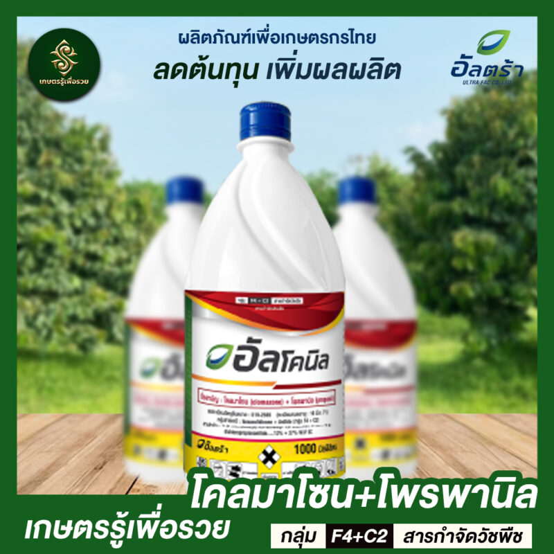 อัลโคนิล - Image 3