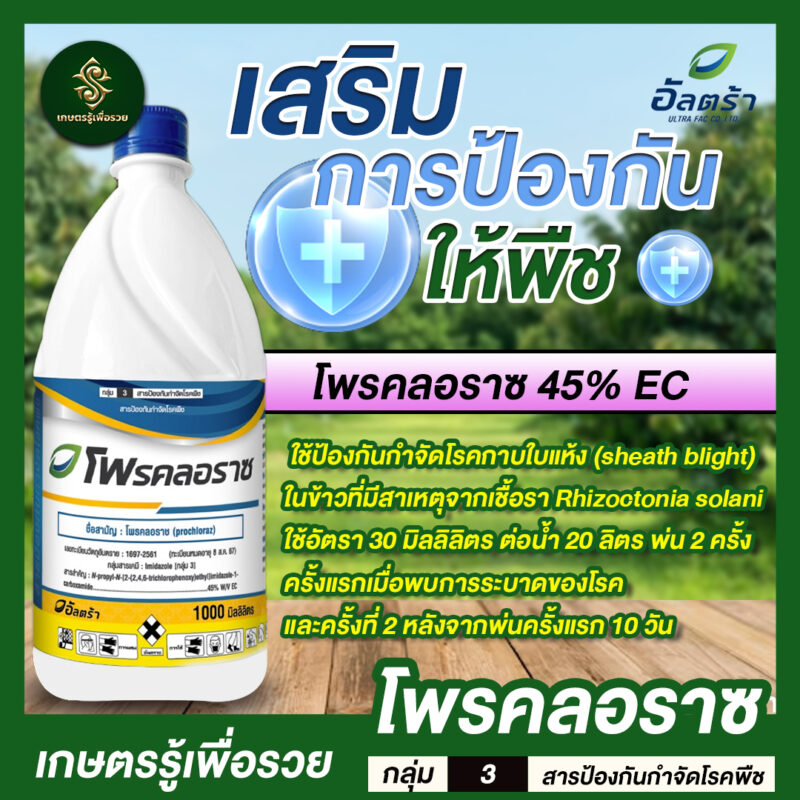 โพรคลอราซ