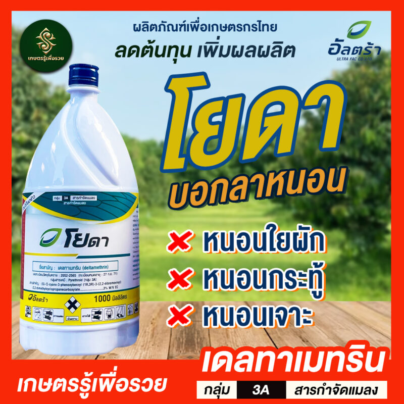โยดา