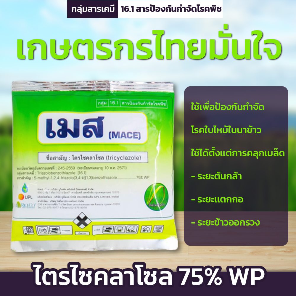 เมส - Image 2
