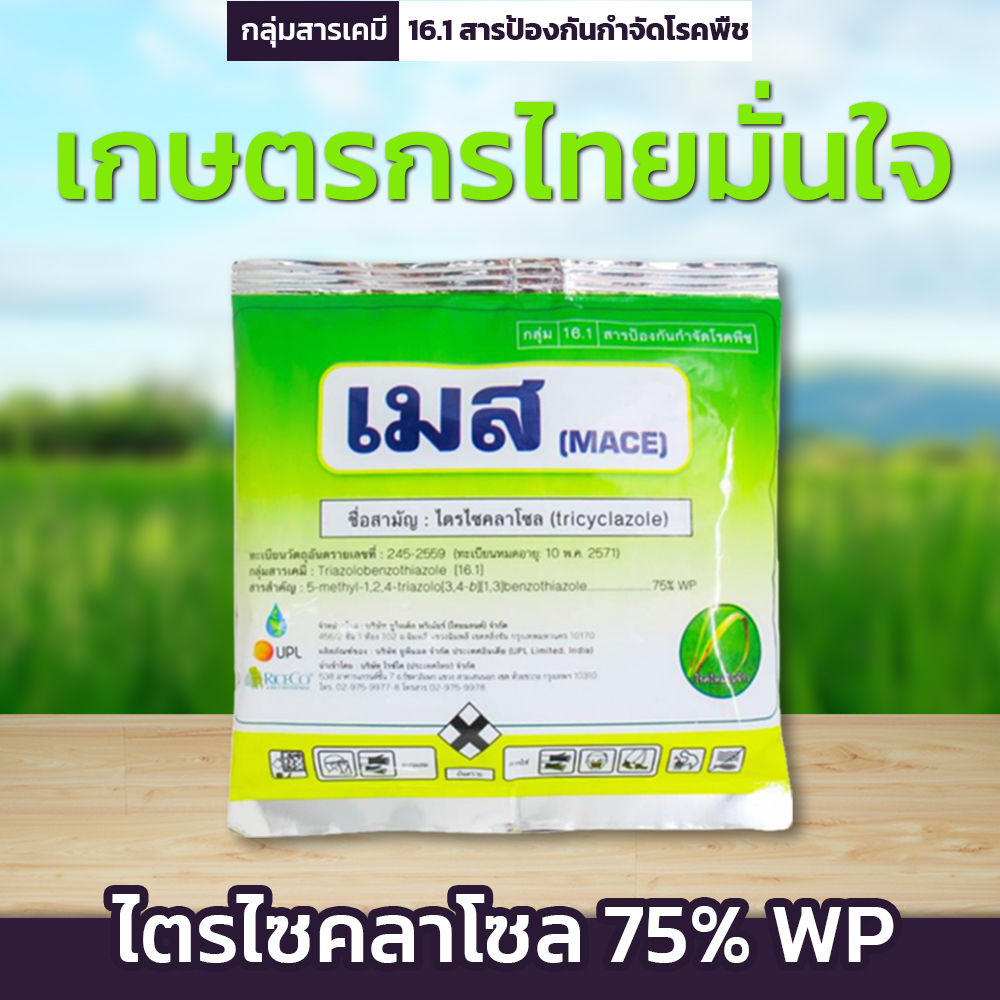 เมส - Image 3