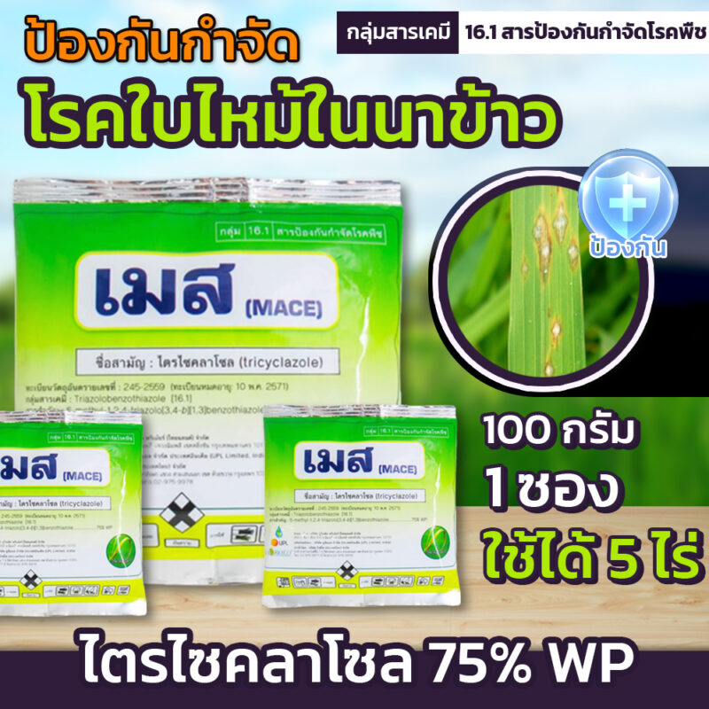 เมส