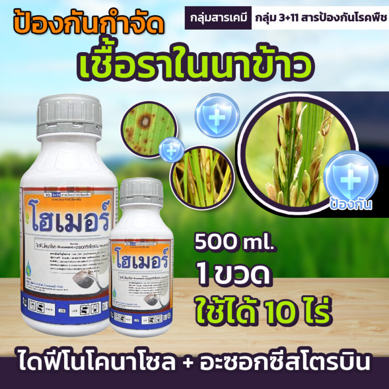 โฮเมอร์