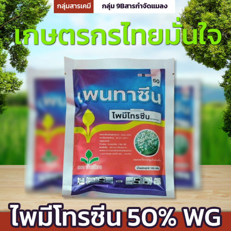 เพนทาซีน - Image 2