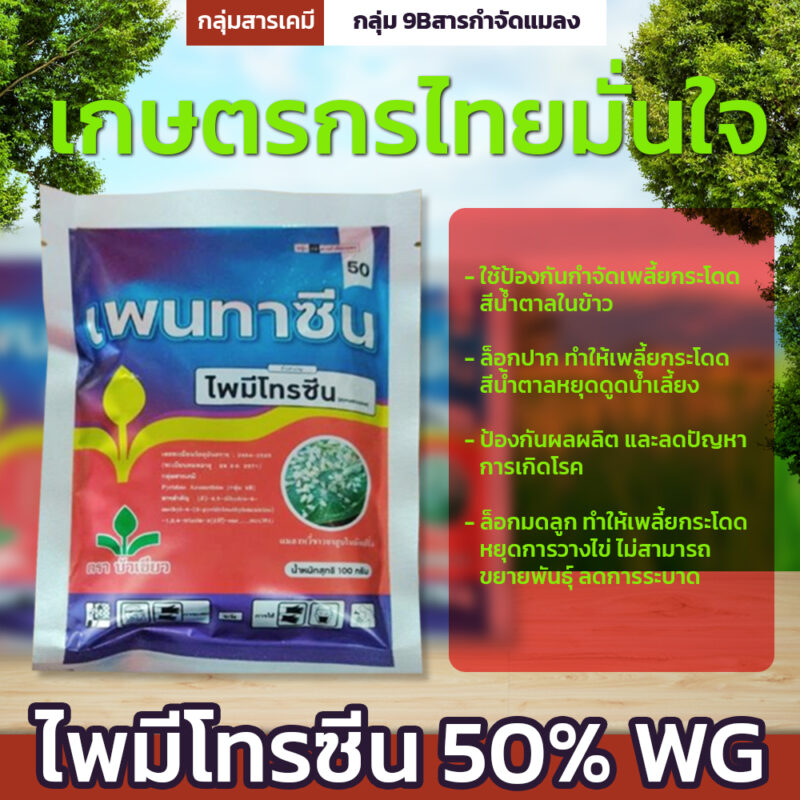 เพนทาซีน - Image 3