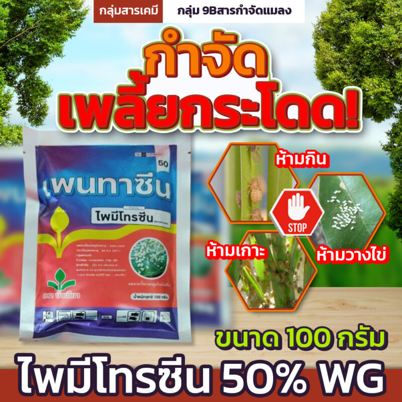 เพนทาซีน