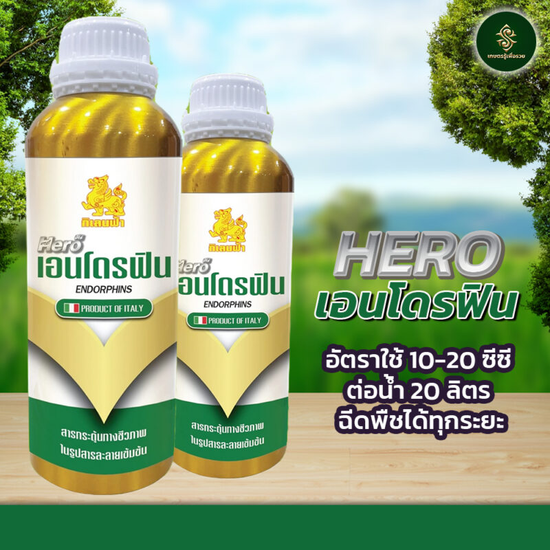 HERO เอนโดรฟิน - Image 2