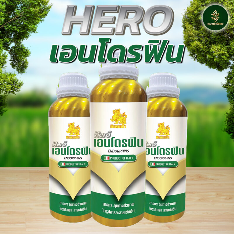 HERO เอนโดรฟิน - Image 3