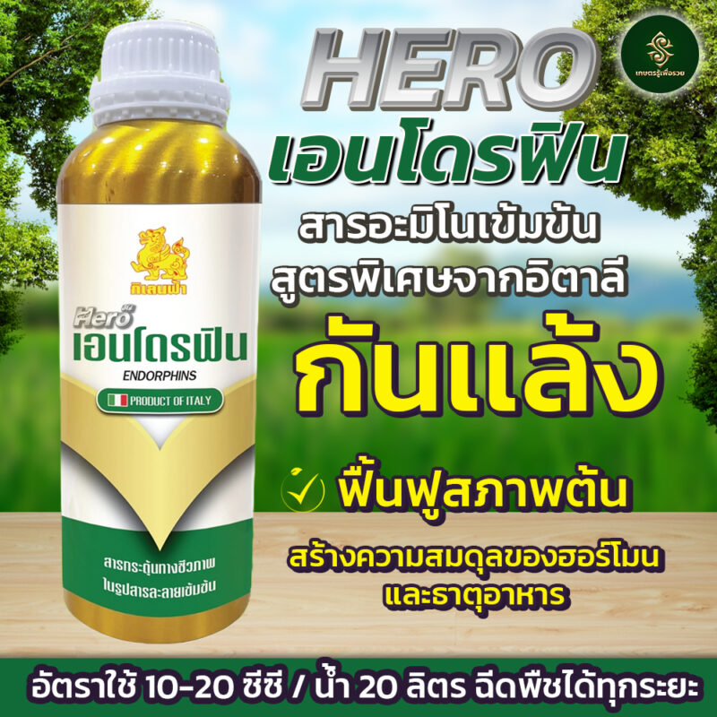 HERO เอนโดรฟิน