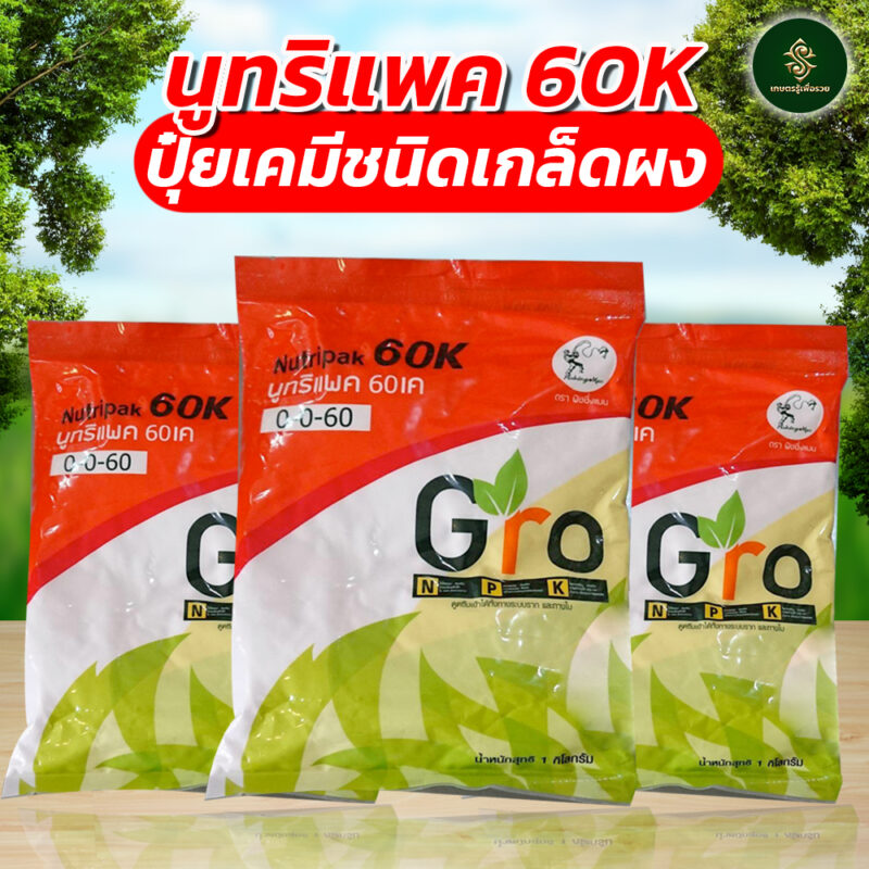 นูทริแพค 60K - Image 2