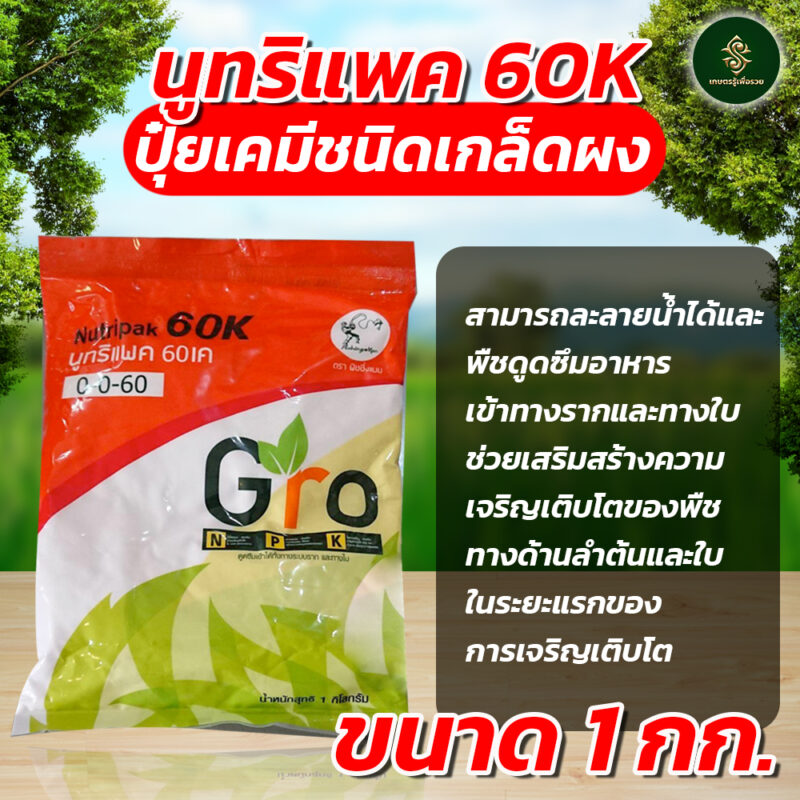 นูทริแพค 60K - Image 3