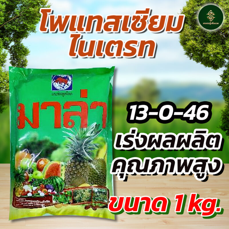 มาล่า