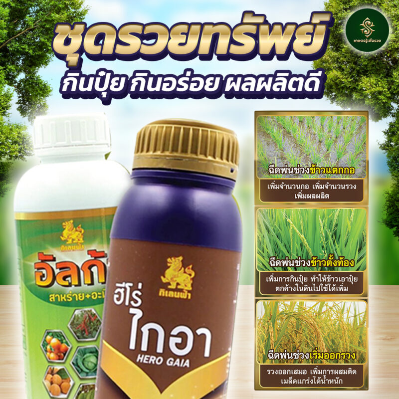 อัลก้า + ไกอา - Image 2