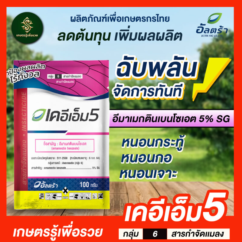 เคเอ็มที5