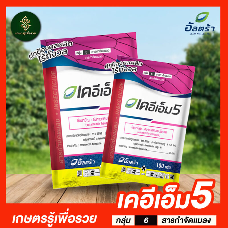 เคเอ็มที5 - Image 2