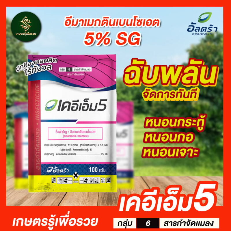 เคเอ็มที5 - Image 3